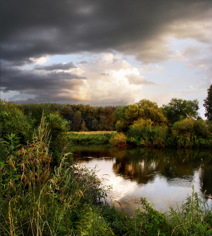 Июльским вечером....