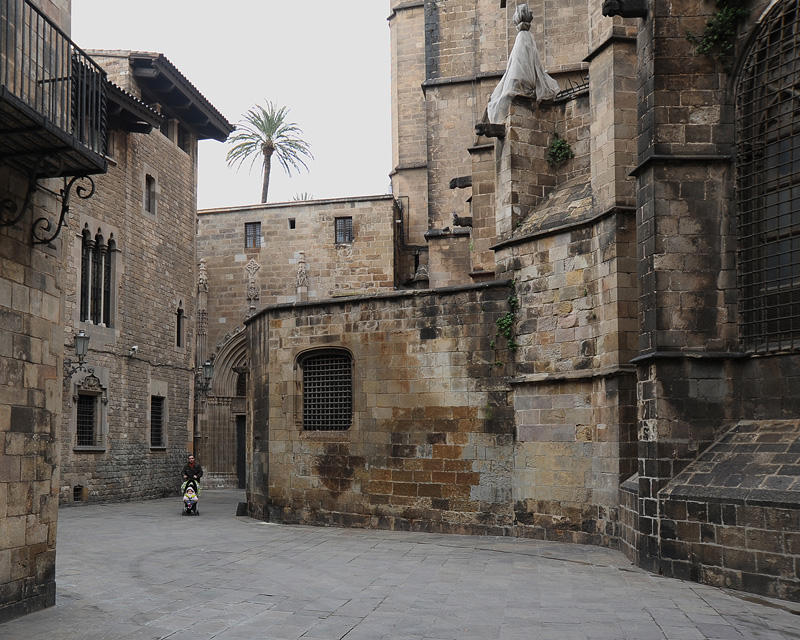 Пейзаж с пальмой