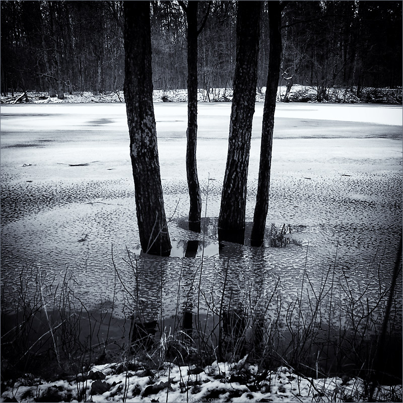 [ Waiting for Spring ]