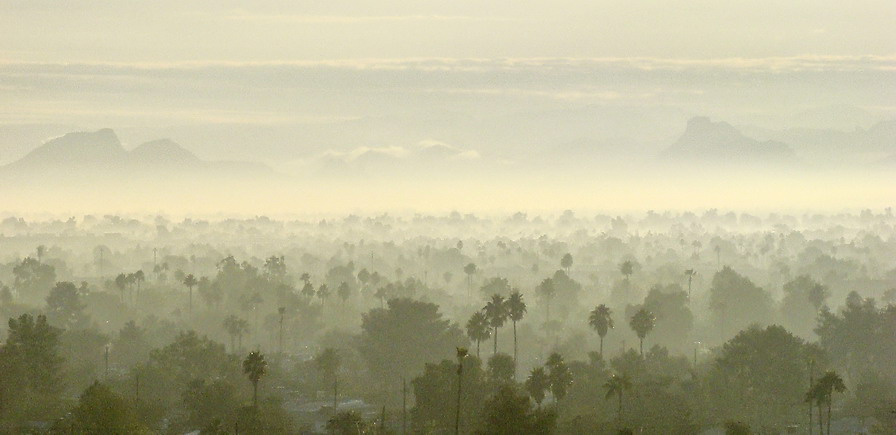 як Фенікc прабуджаецца