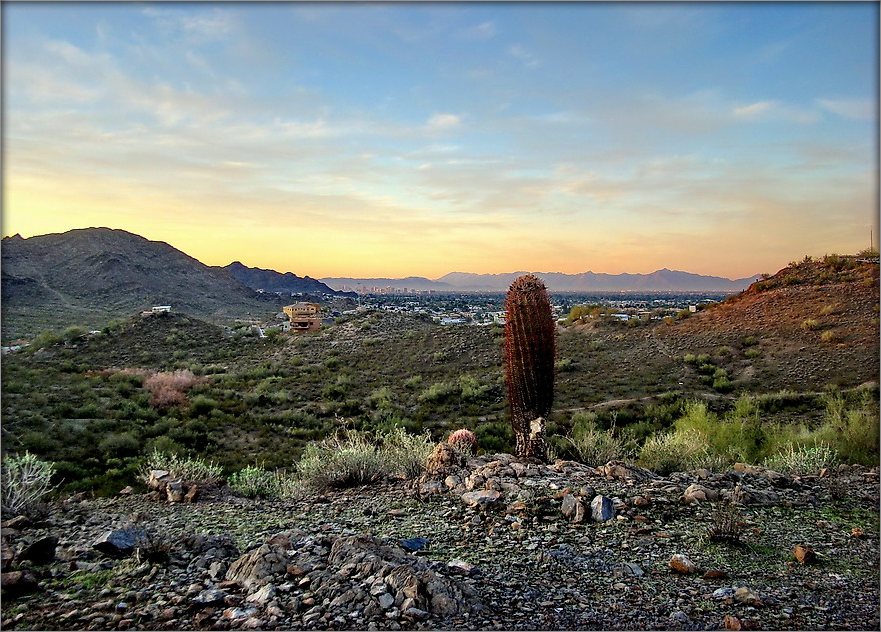пастэльная прываба пустэльні