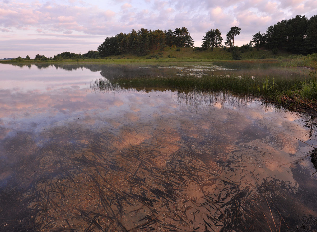 Ранним утром