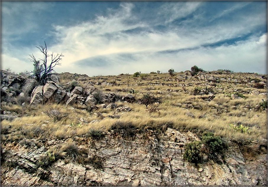 прагулкі па Лімонавых гарах ..2