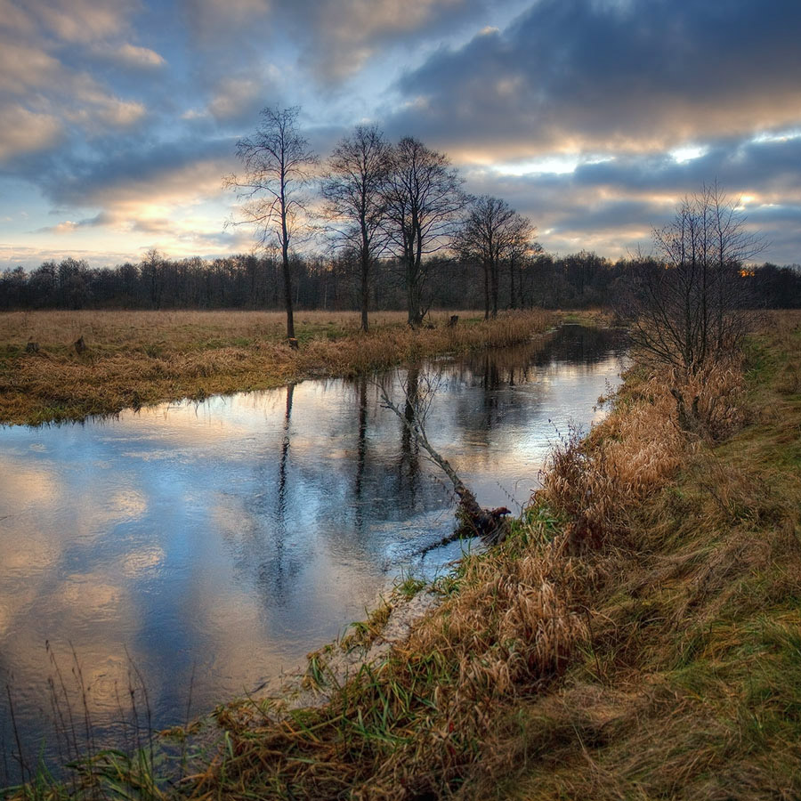 |   Дремлющая река   |