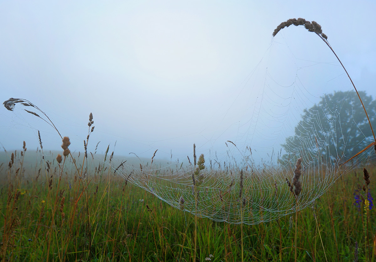 Ускользнуло солнце