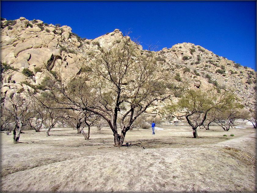 учора тут быў сьнег. Арызона