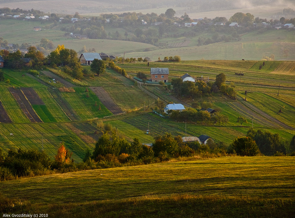 На прикарпатских склонах