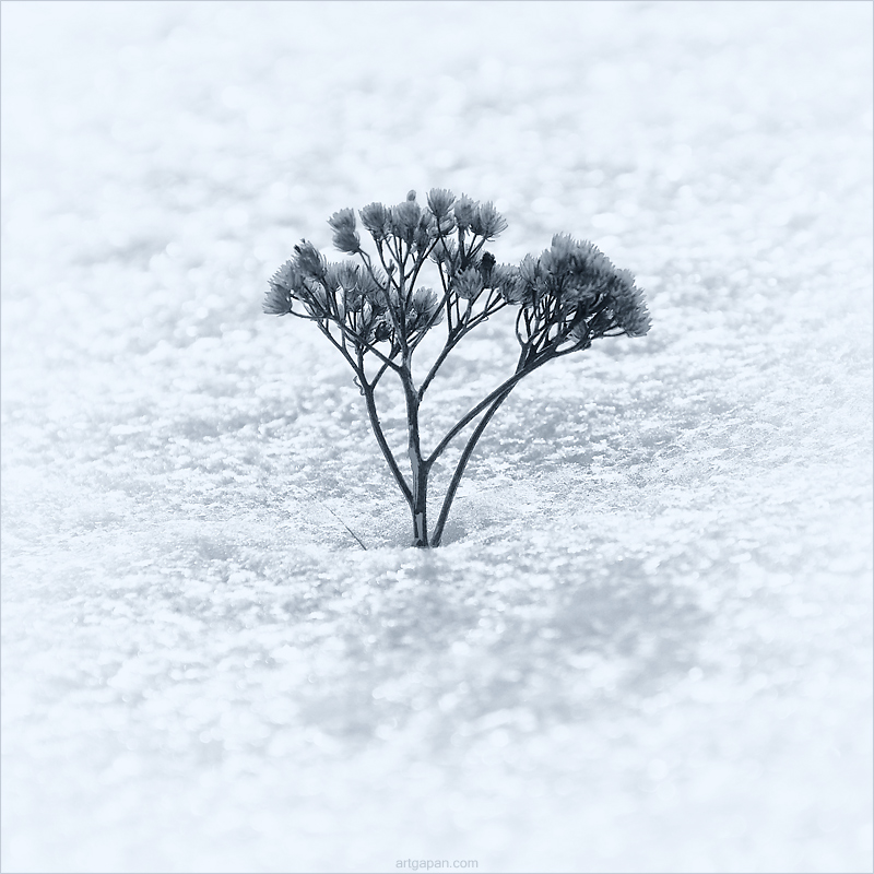 [ С праздником дорогие... ]