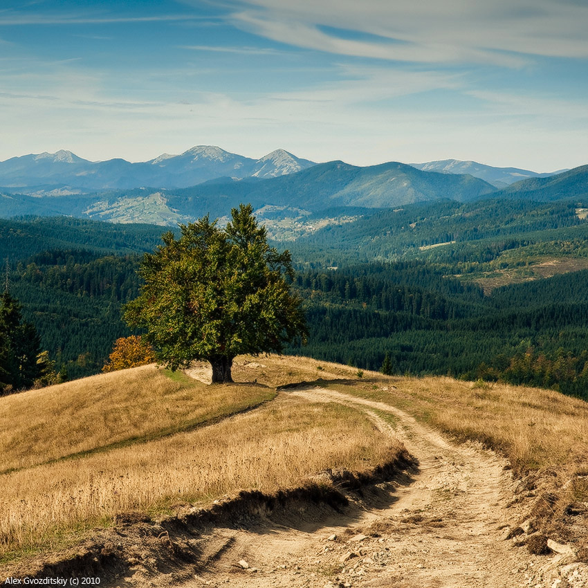 Сентябрьский полдень