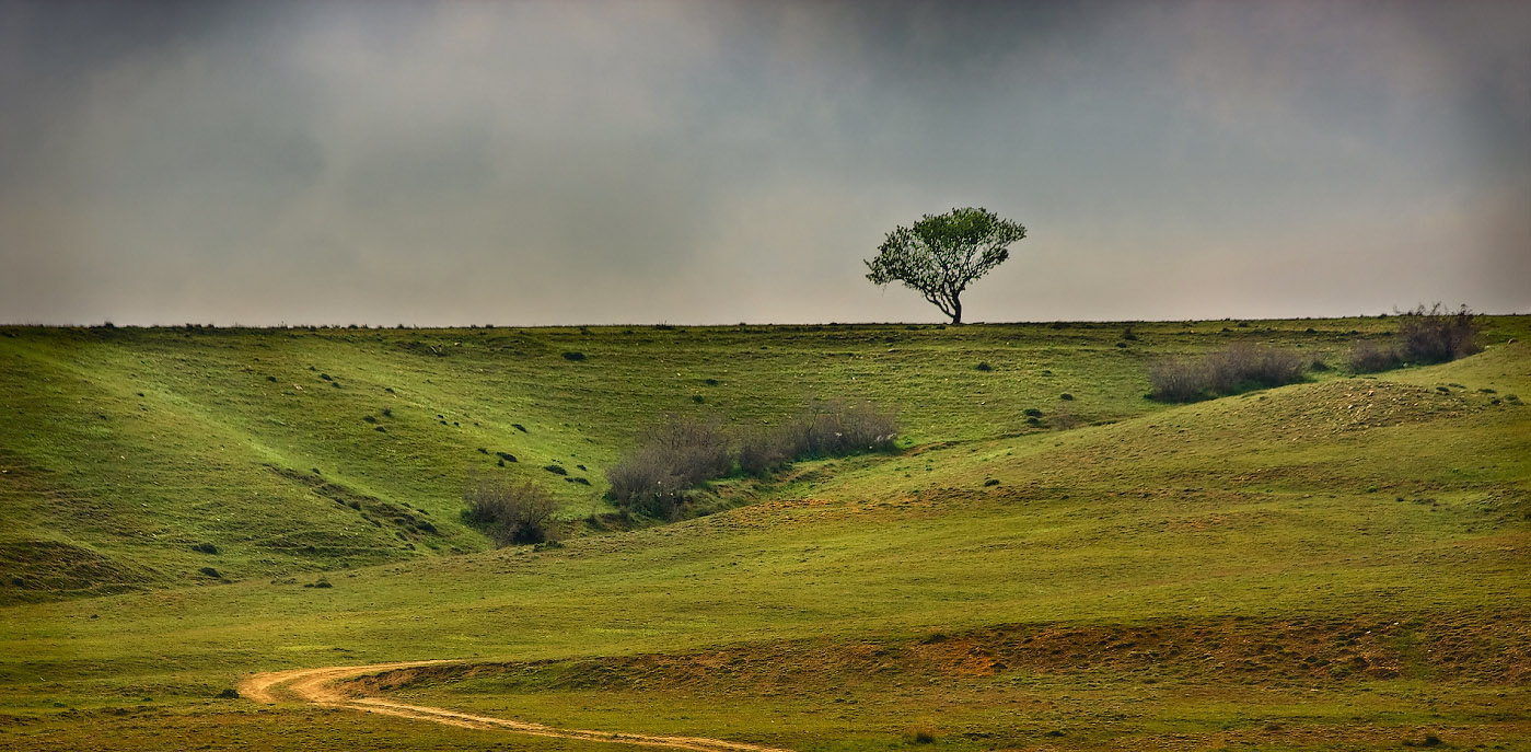 Где-то в Крыму