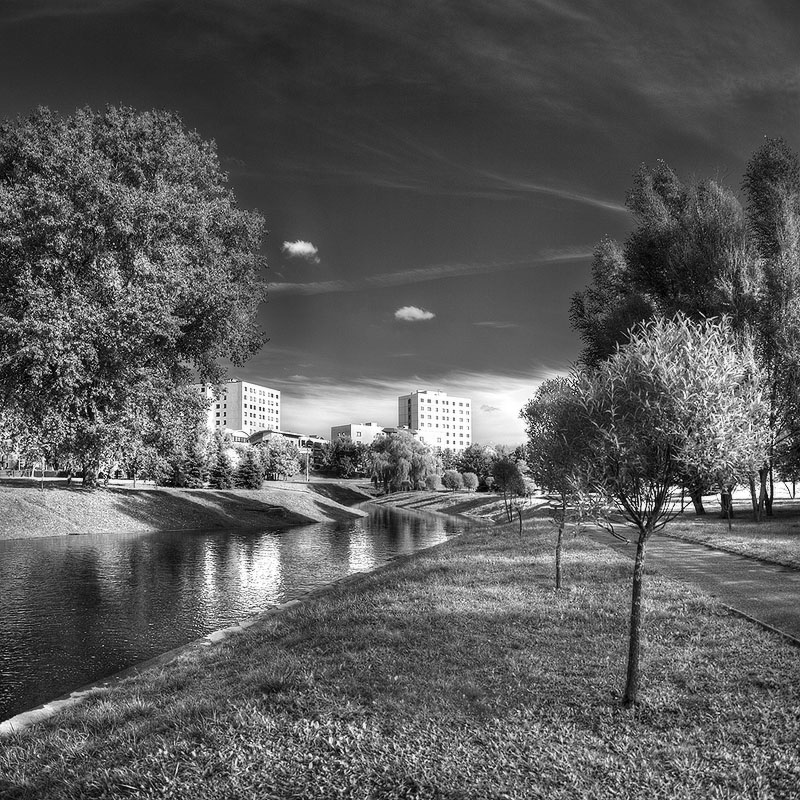 |   Солнечно-графично   |