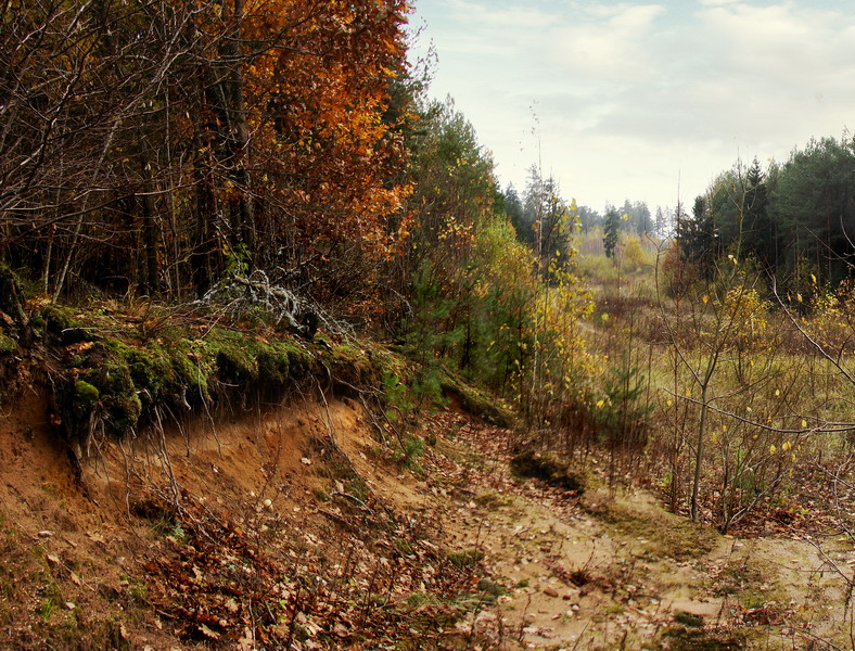 Рельефные мотивы....