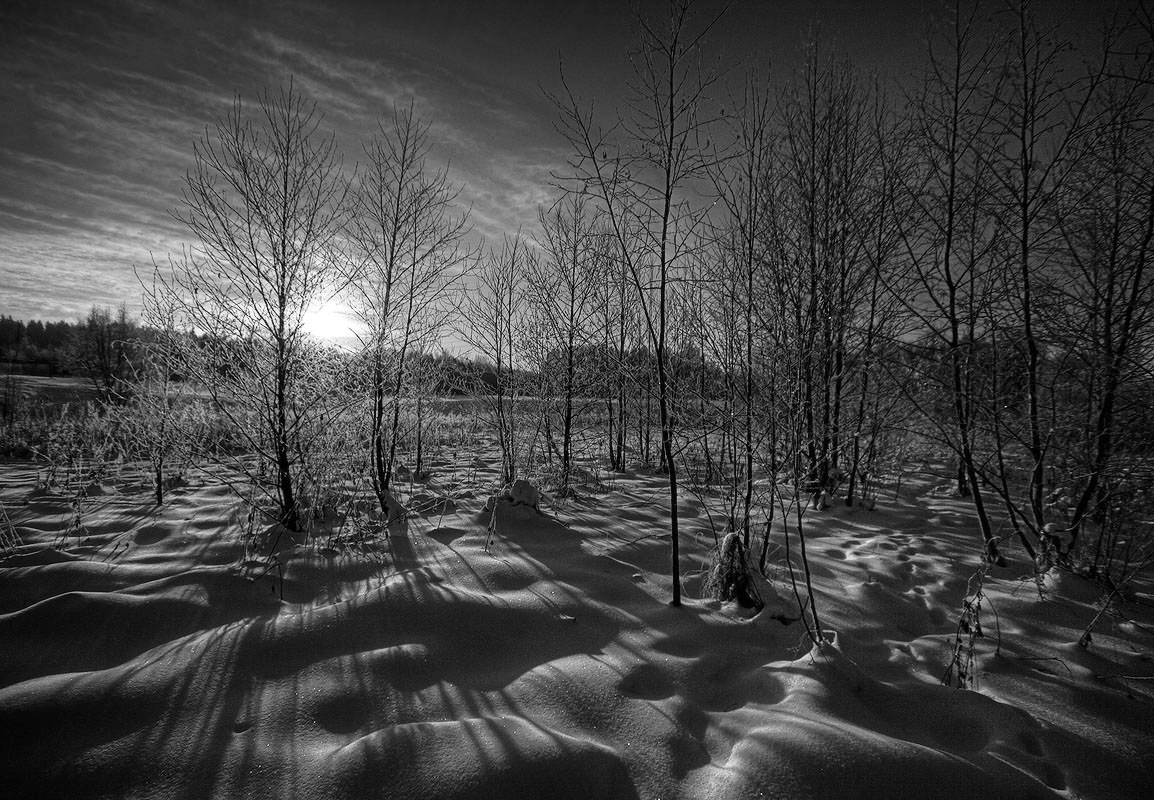 |   Свет и Тень   |