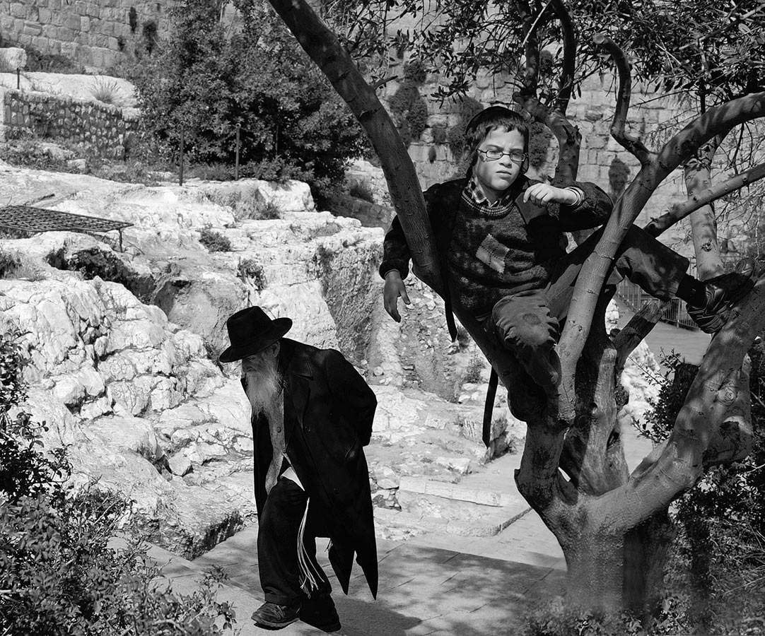 Властелин дерева