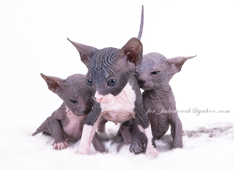 Детки бывают разные