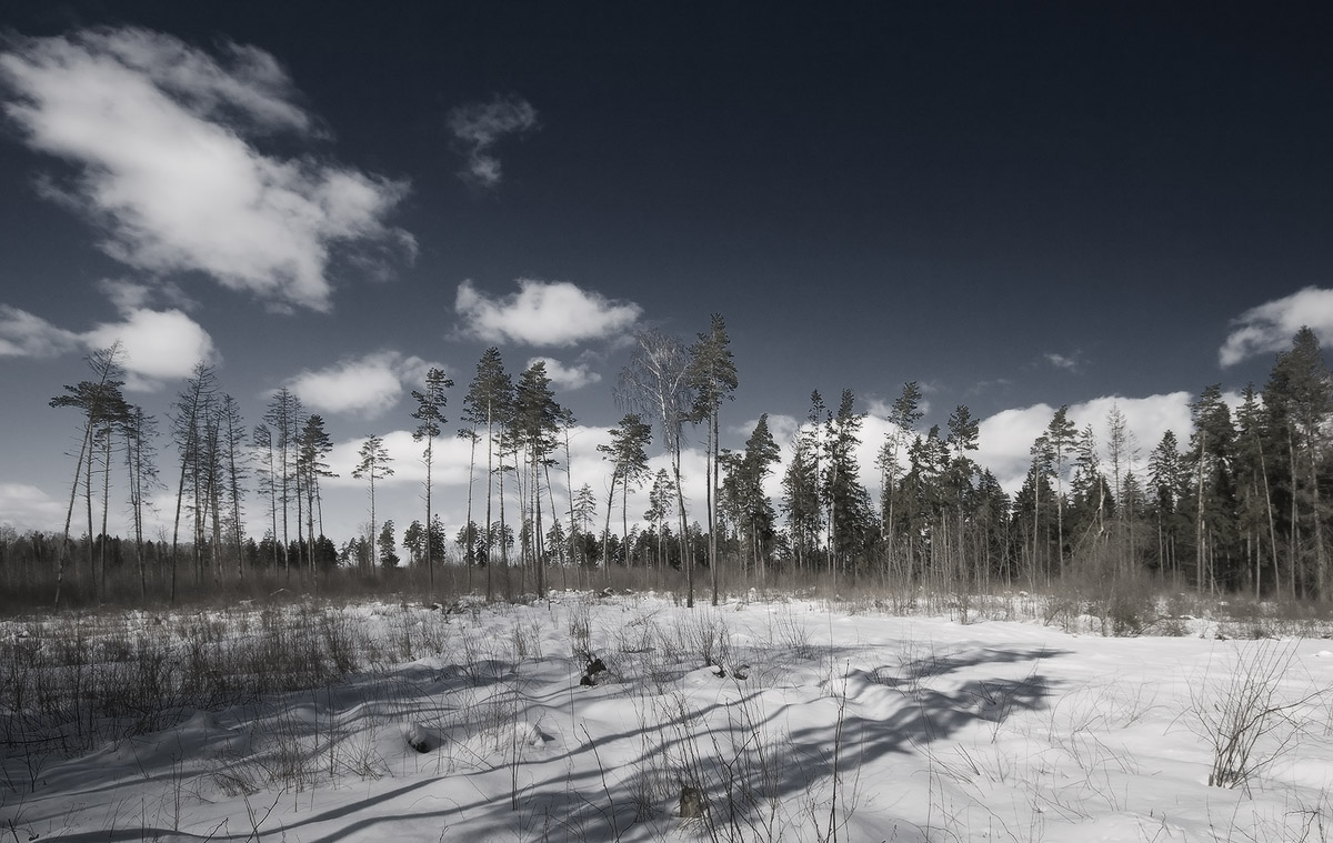 |   ПОЛЯНА   |