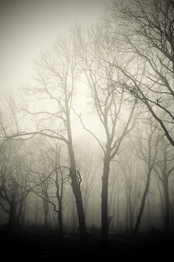 - Т У М А Н `н о e -