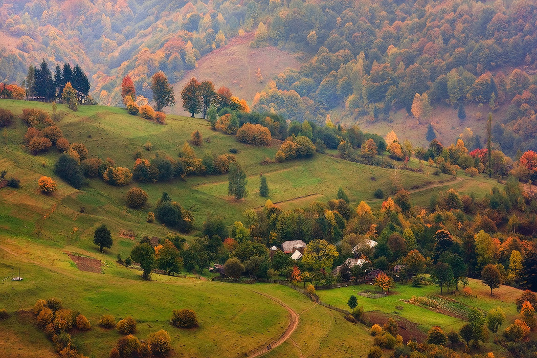 Карпатская для рассматривания