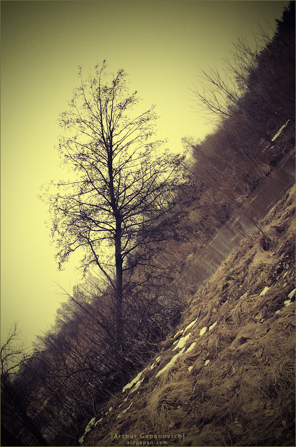 [ Desire to grow Up ]