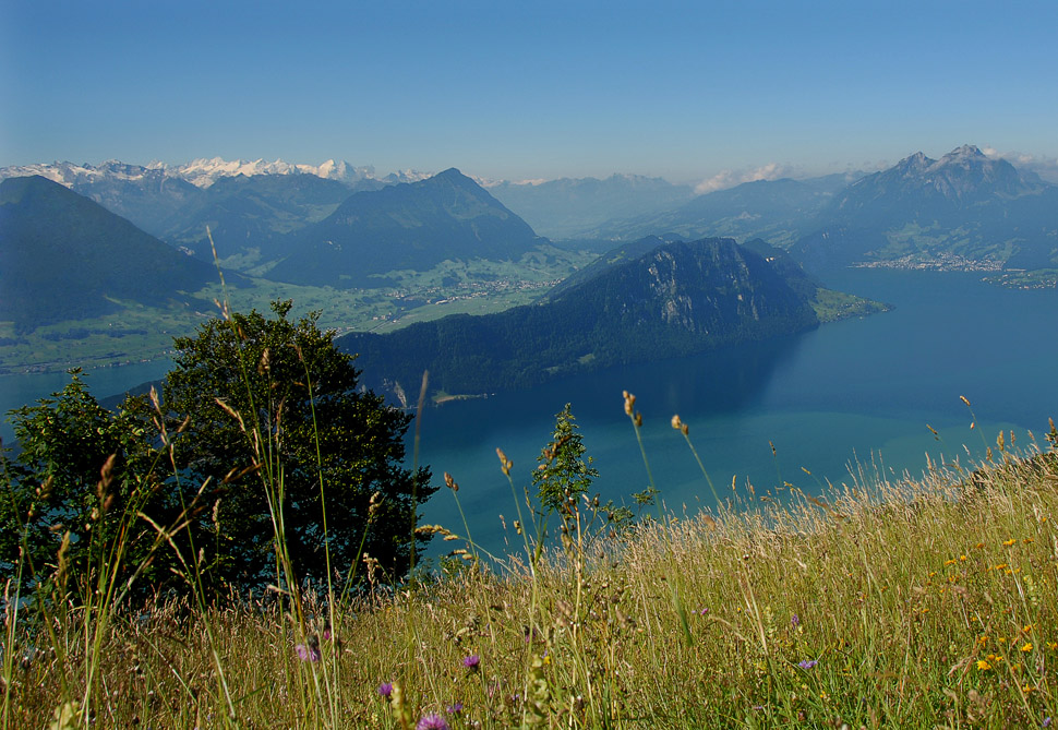 Альпийская