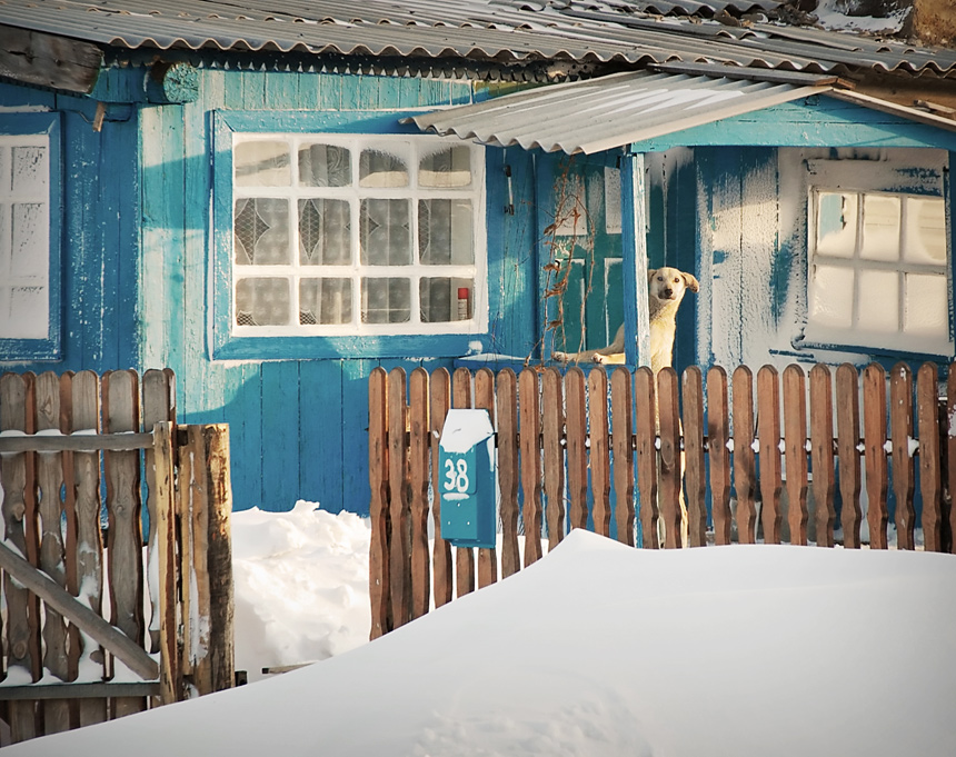 Радушный хозяин