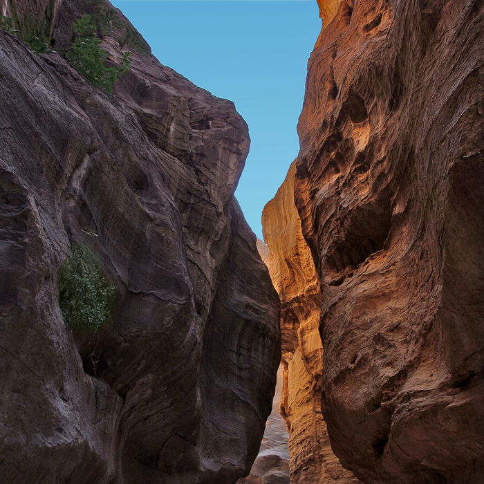 Цвет и линия IX