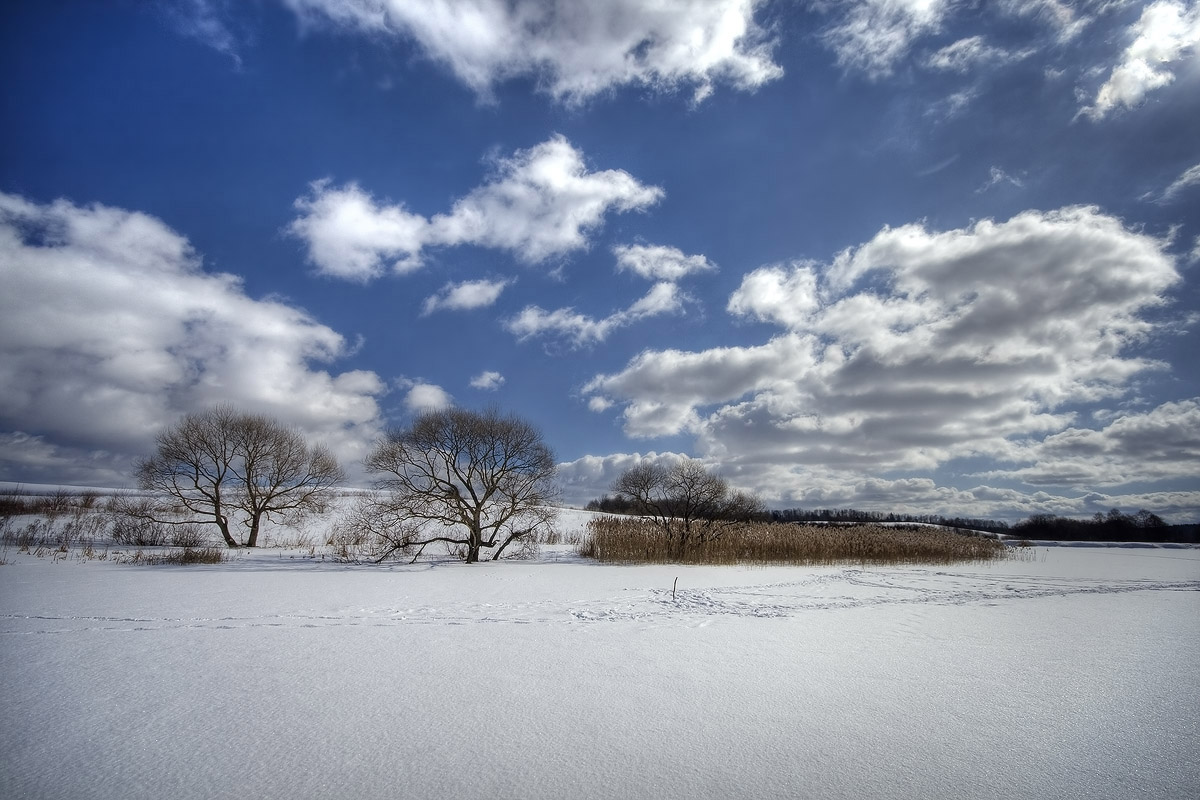 |   По следам рыбака   |