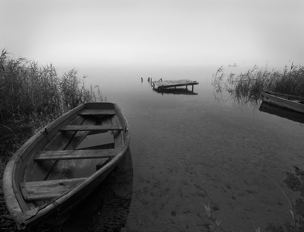 Кто рано встает