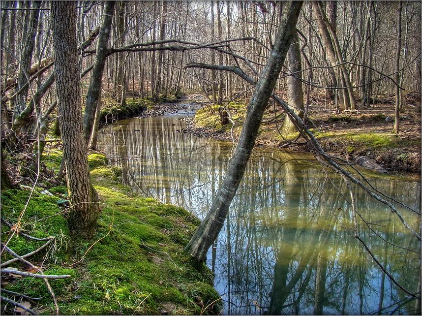 лясны ручай