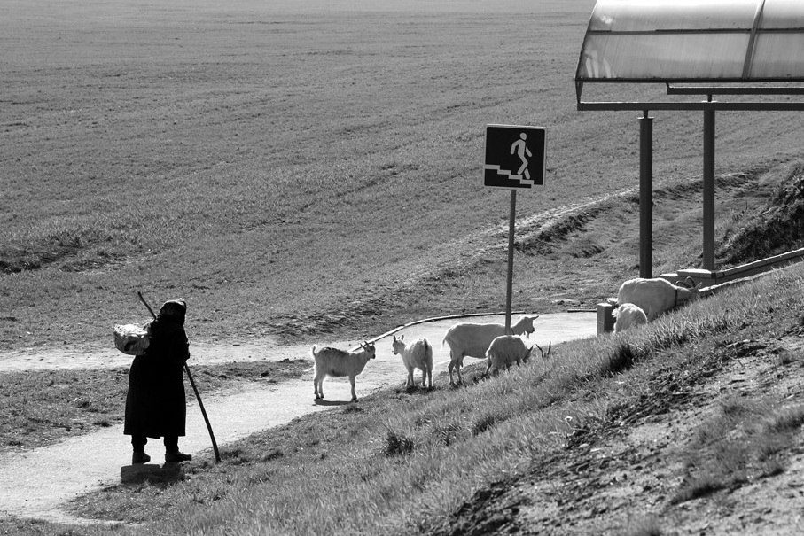 пешеходный переход )