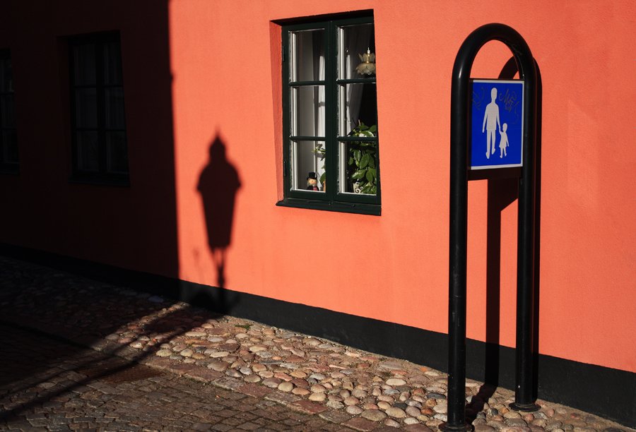 Жизнь в цвете