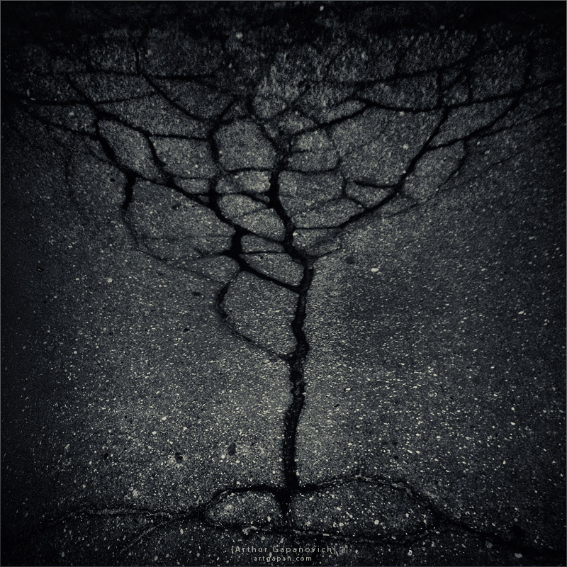 [ ...and on the asphalt trees grow ]