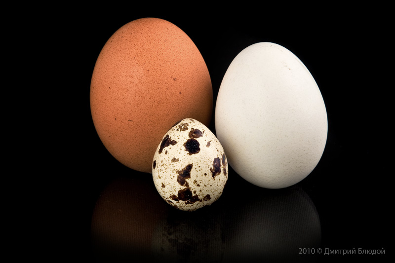 Семейный портрет: Смешанный брак