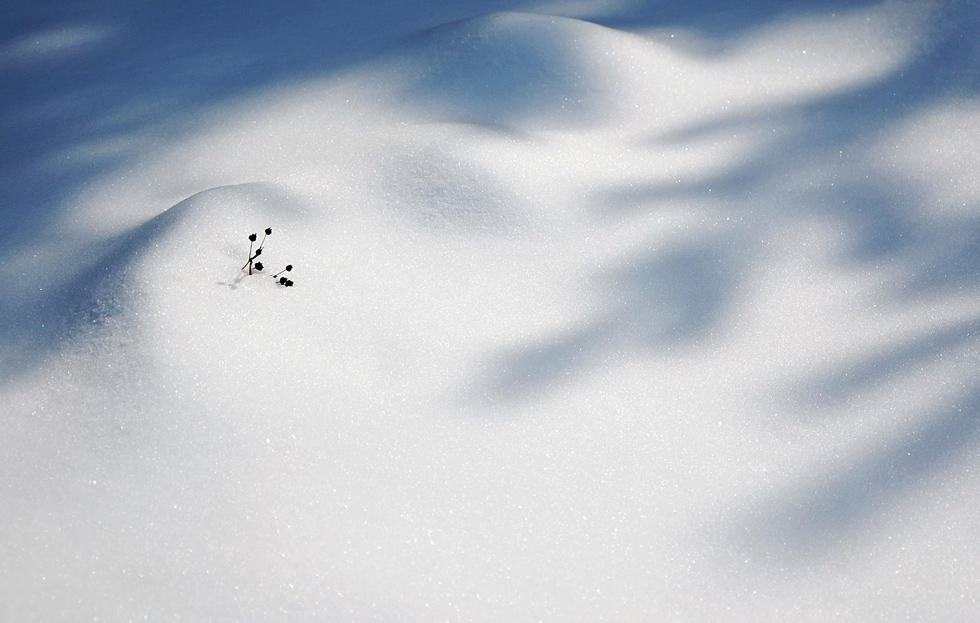 Зимние узоры