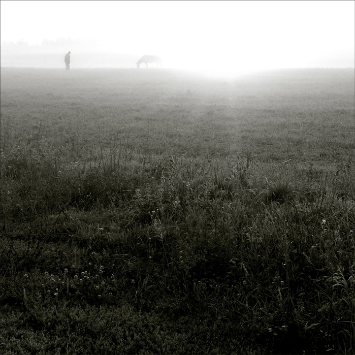 еще одна. пра коныка ...