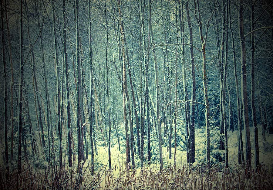 Простая история...