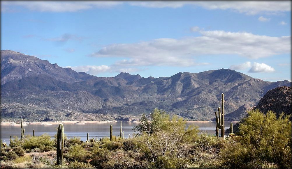 лютаўскае сонца пустэльняў