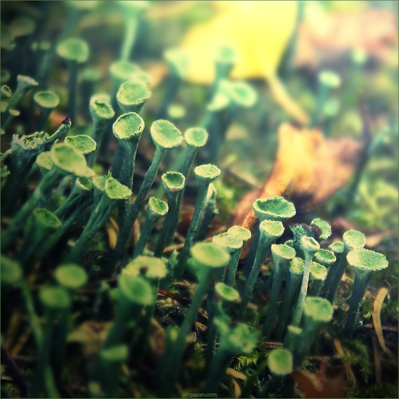 [ Somewhere on Mars ]