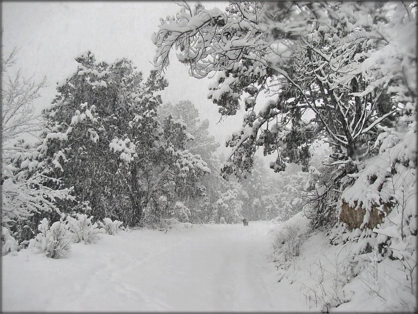 у гарах сьнегапады...