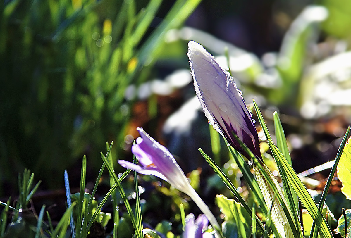 Сквозь темень к свету