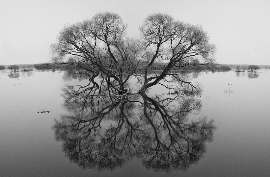 ДНЕВНОЙ СОН