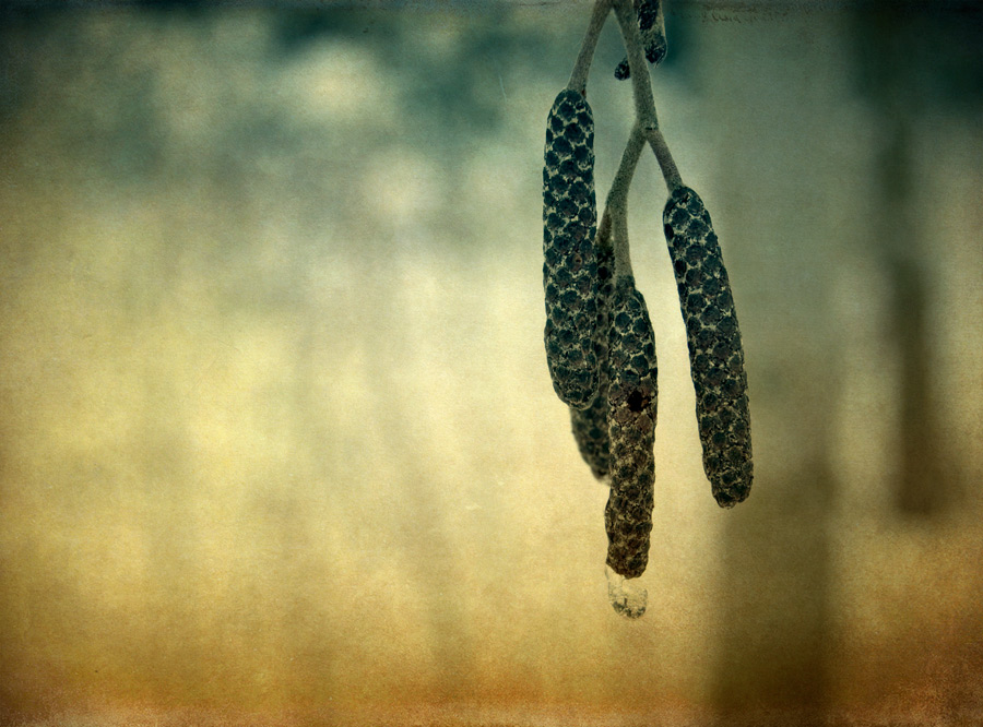 У безумия причины нет...