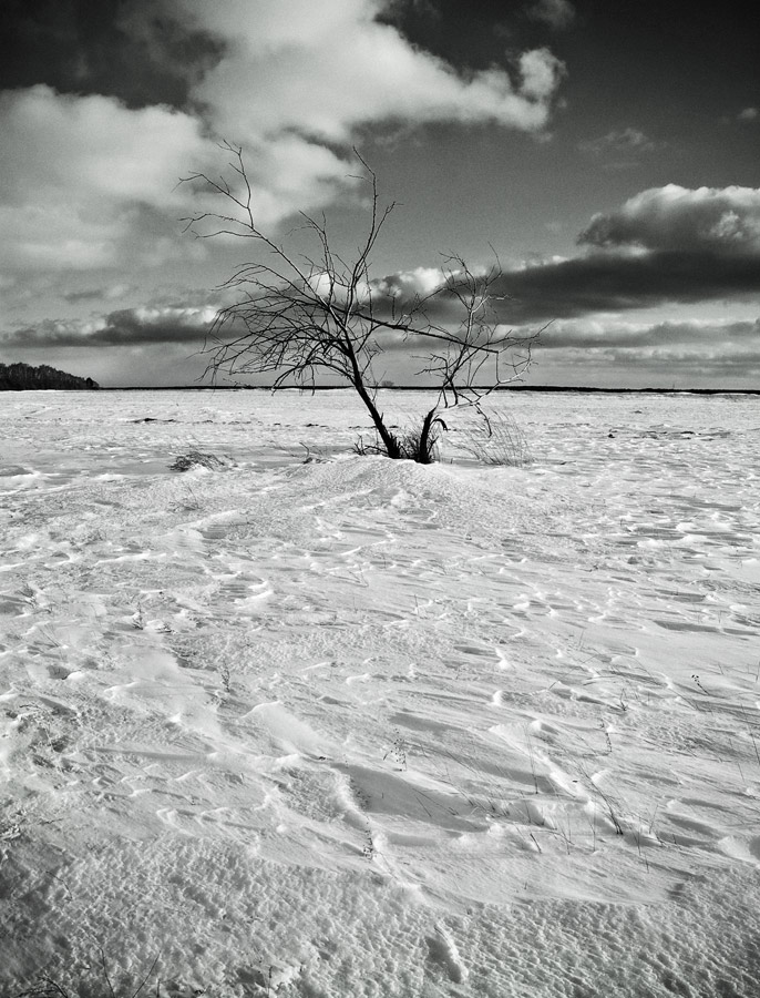 Безжизненно...