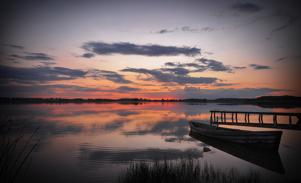 Щебечущие  краски