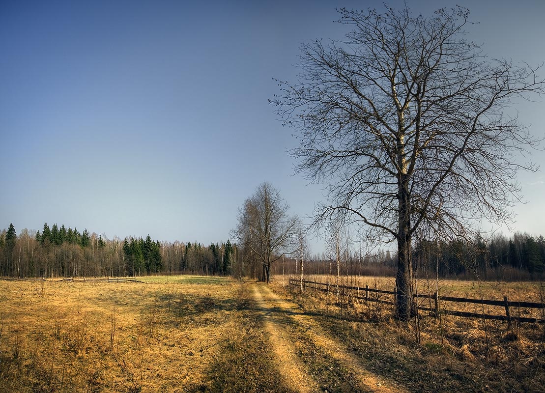 |   Весеннее послезимье   |