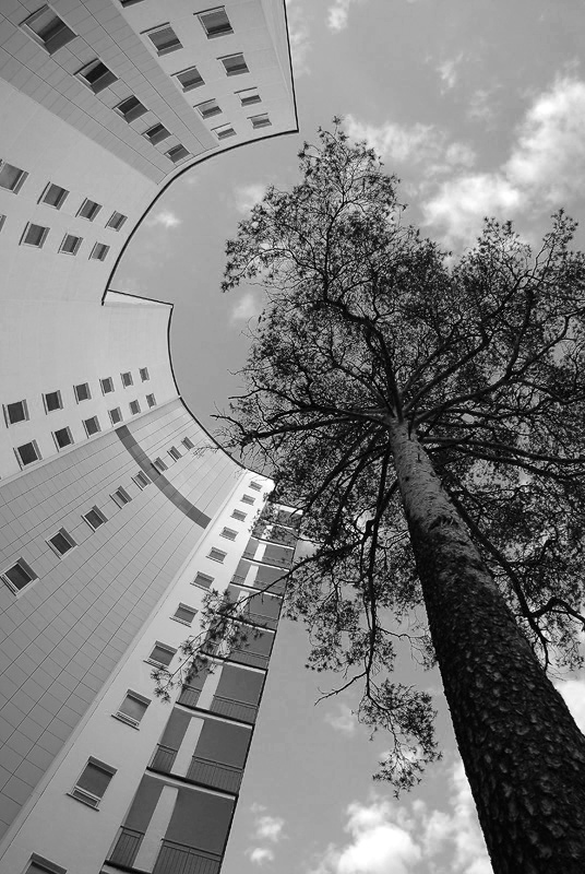 дотянуться до небес