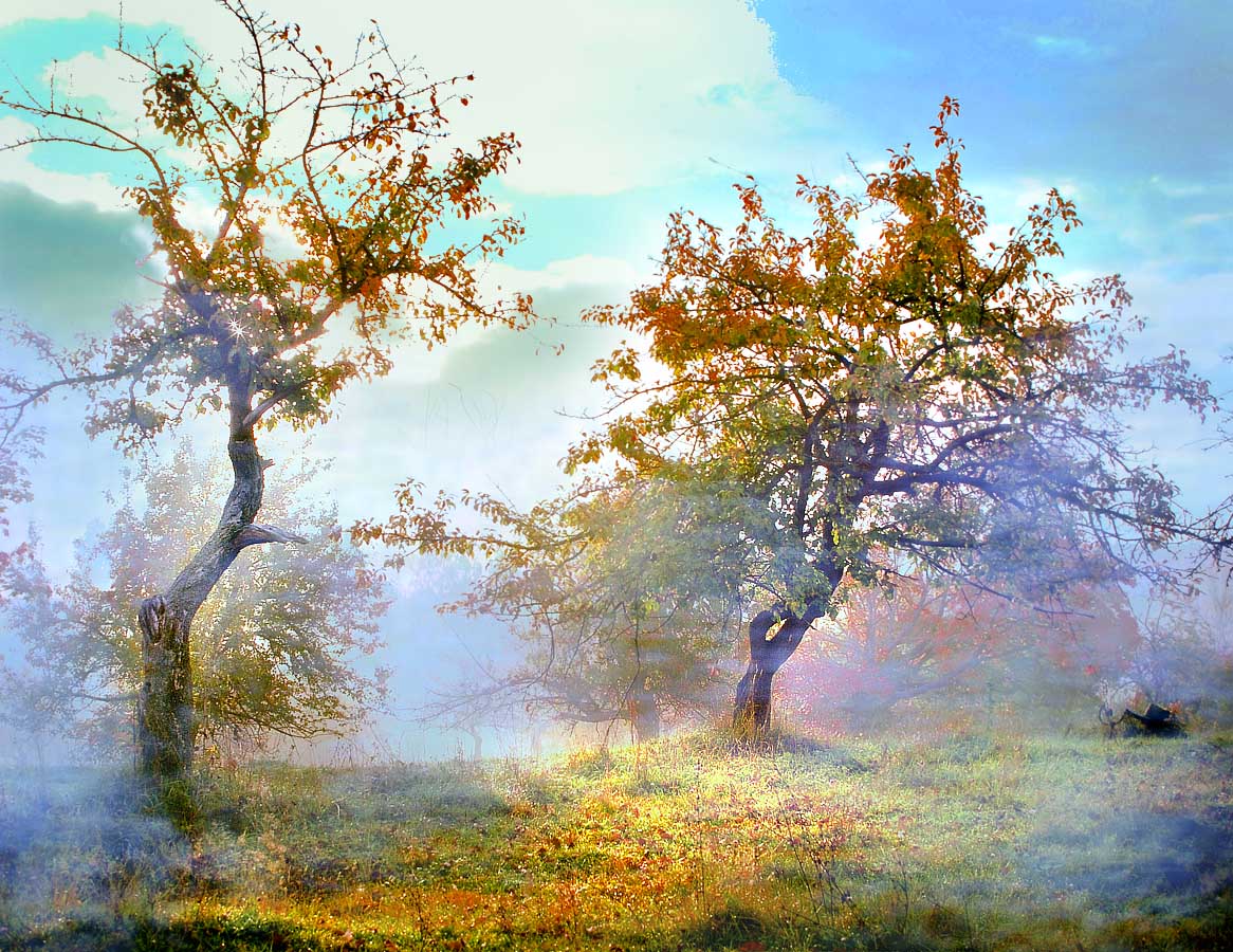 утро туманное...