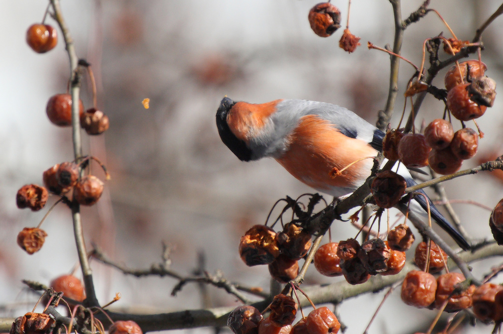 профилактика остеохондроза