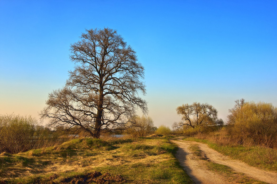 Апрельская