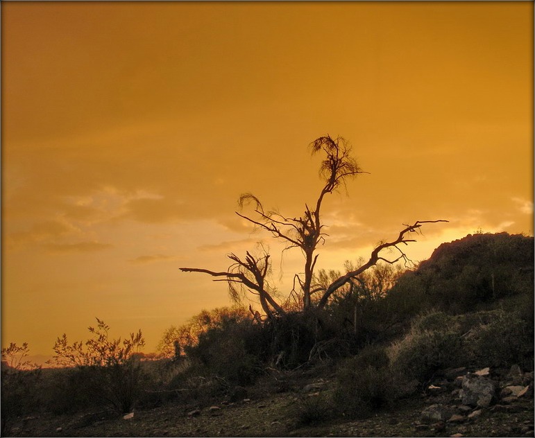 насустрач навальніцы